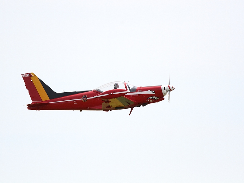 SIAI-Marchetti SF-260 - Red Devils